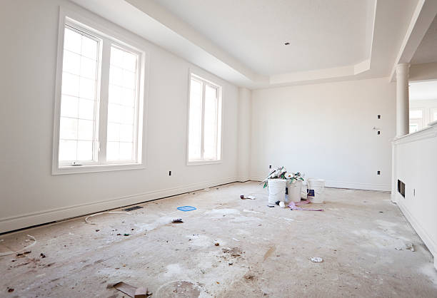 Best Mold Odor Removal Services  in Minerva, OH